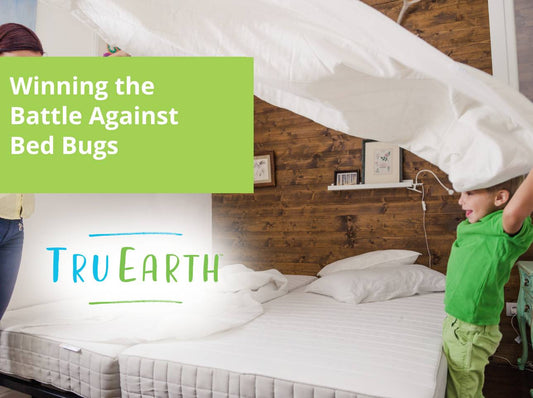 Winning the Battle Against Bed Bugs