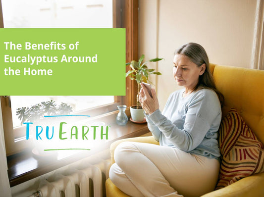 The Benefits of Eucalyptus Around the Home