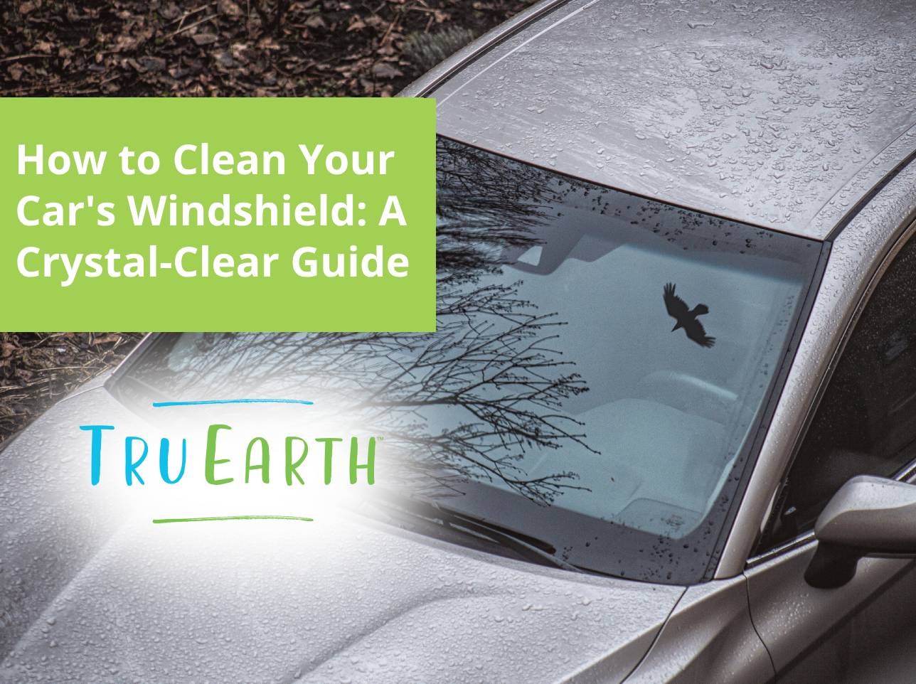 How to Clean Your Car's Windshield: A Crystal-Clear Guide – Tru Earth ...