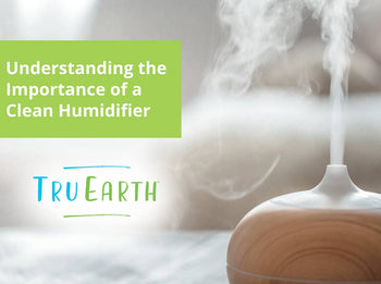 Understanding the Importance of a Clean Humidifier – Tru Earth AU & NZ