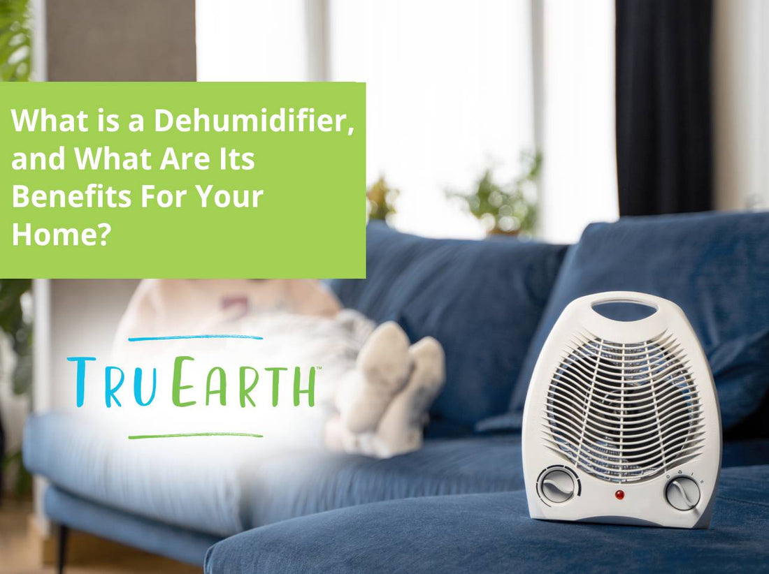 What is a Dehumidifier, and What Are Its Benefits For Your Home?