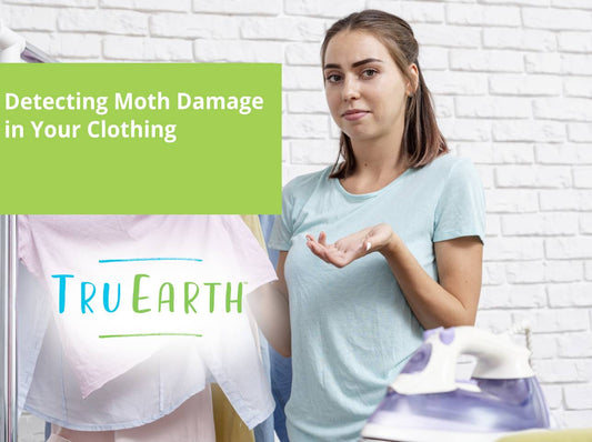 Detecting Moth Damage in Your Clothing