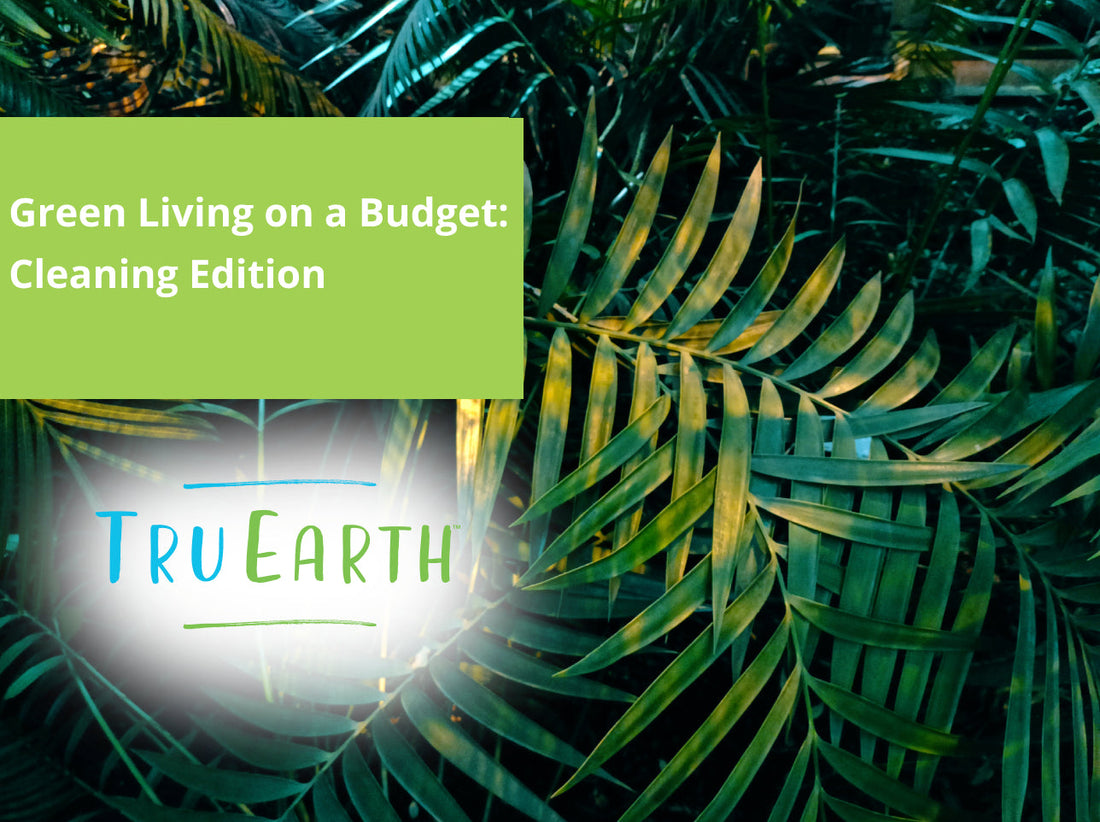 Green Living on a Budget