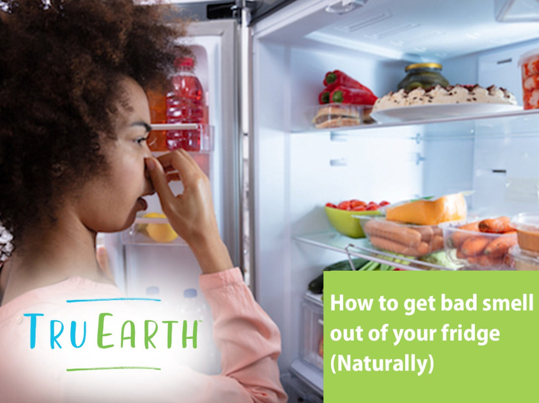 How To Get a Bad Smell Out of Your Fridge (Naturally!)