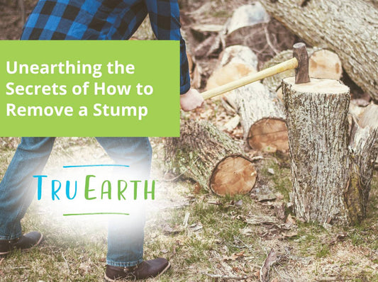 Unearthing the Secrets of How to Remove a Stump