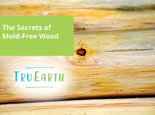 The Secrets of Mold-Free Wood