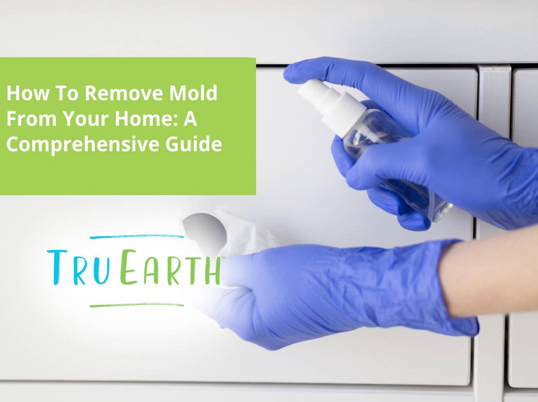 How To Remove Mold From Your Home: A Comprehensive Guide