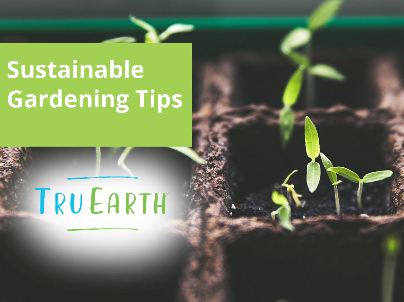 Sustainable Gardening Tips – Tru Earth AU & NZ