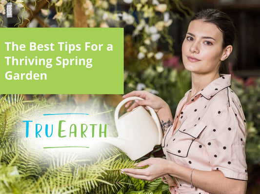 The Best Tips For a Thriving Spring Garden