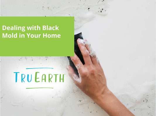 Dealing with Black Mold in Your Home